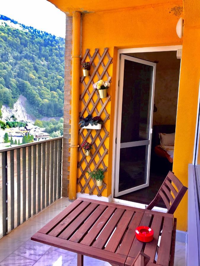 Amazing Brownie By Miro Apartment Sinaia Exterior foto