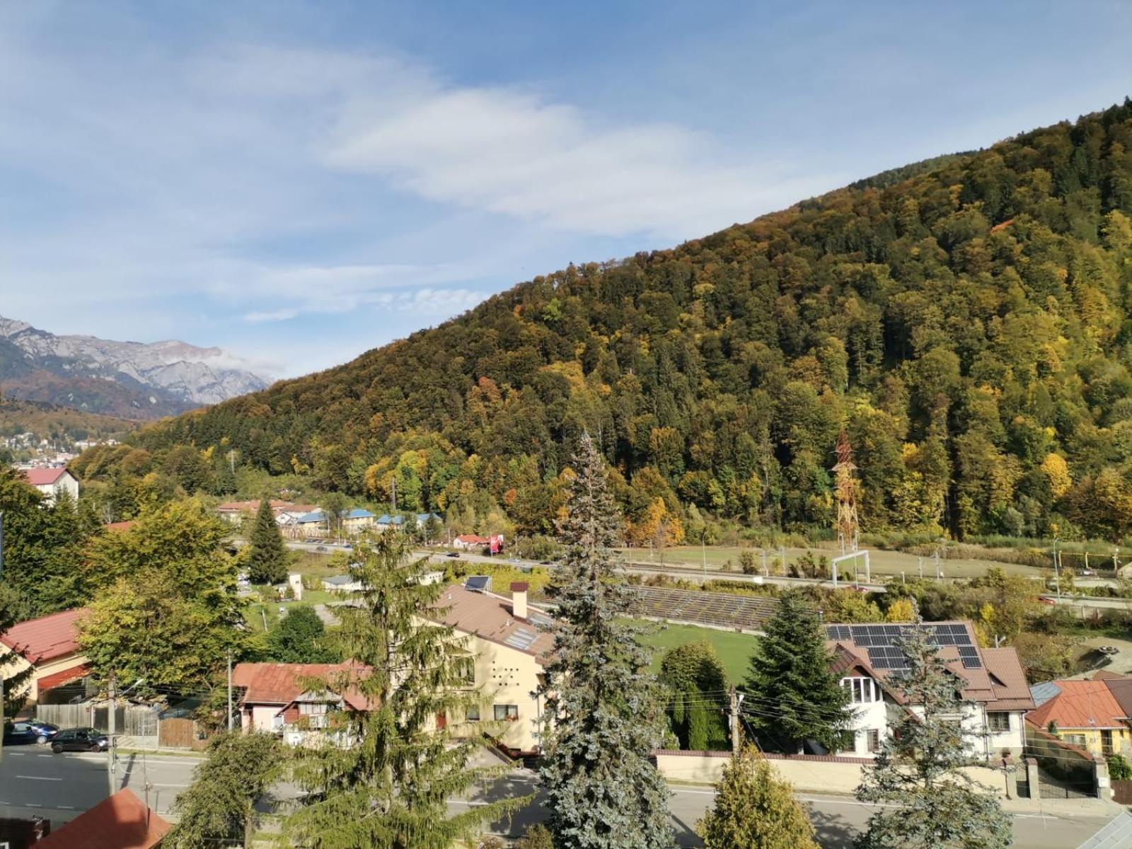 Amazing Brownie By Miro Apartment Sinaia Exterior foto