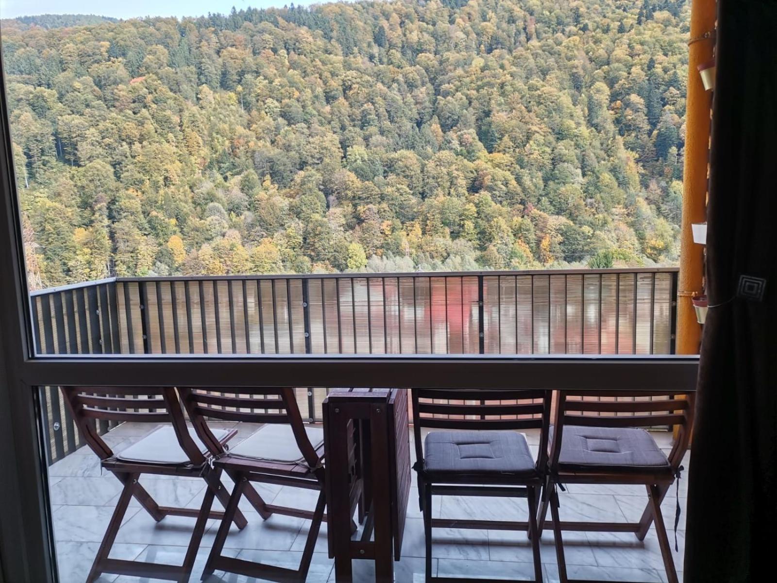 Amazing Brownie By Miro Apartment Sinaia Exterior foto